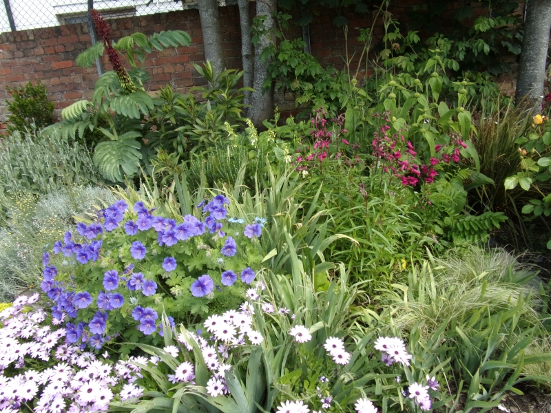 Seaford Community Garden